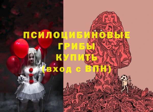 герыч Инта