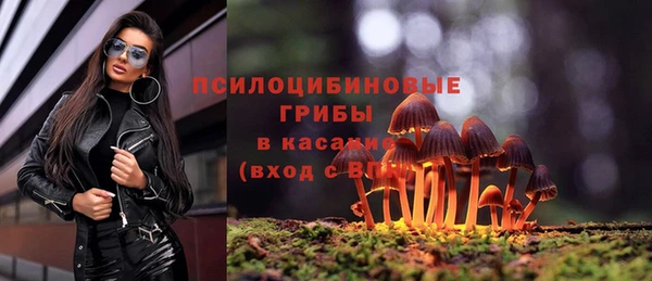 мяу мяу кристалл Инсар
