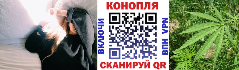 Купить где  Голицыно  Бошки марихуана конопля 